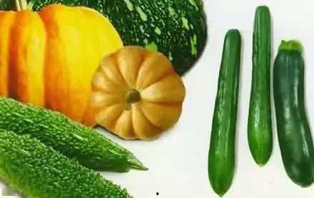 青运会吃瓜,揭秘赛场背后的趣味瞬间”