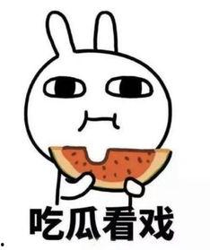 吃瓜判刑,从吃瓜判刑看网络言论的法律边界