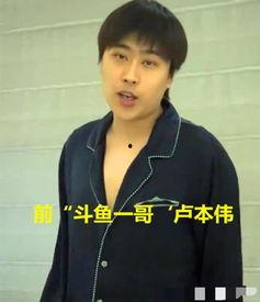 吃瓜卢本伟,揭秘电竞一哥的瓜田传奇
