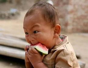 认真吃瓜小组,揭秘网络舆论场中的理性观察者