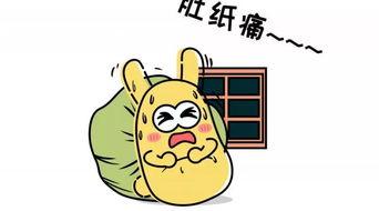 吃瓜群众的拐杖,揭秘娱乐圈幕后故事