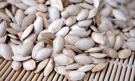 吃蒲瓜补肾吗,蒲瓜补肾功效探究